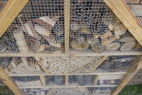a group of cats are in a cage