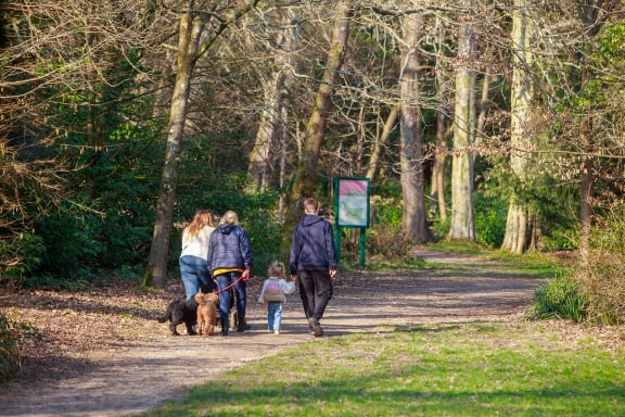 a family walking through the woods
