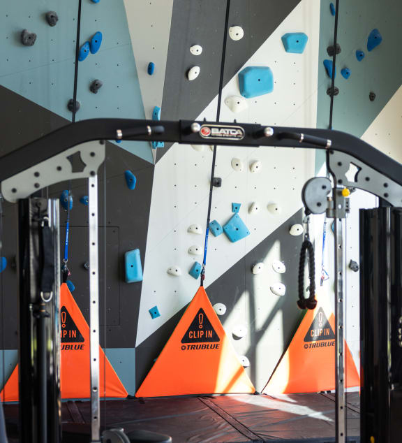 a climbing gym with a rock climbing wall