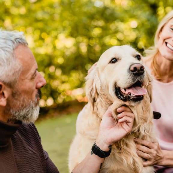 Man and a woman sitting on a bench with a dog