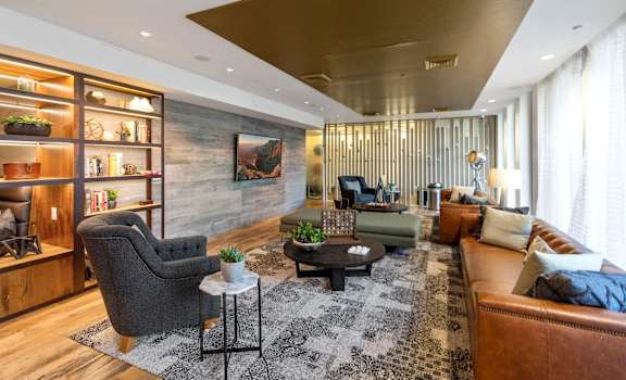 A living room with a grey armchair, a black coffee table, a brown leather couch, and a wooden bookshelf with plants on top.