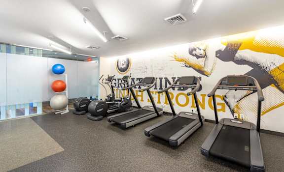 A gym with treadmills and exercise balls.