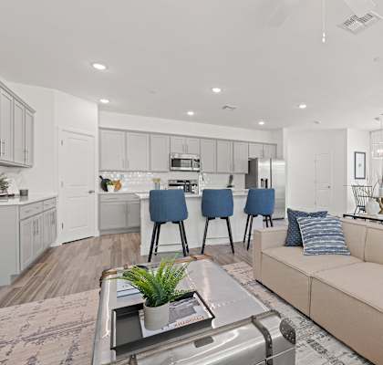 Common Area at Willow 38 Townhomes in Arcadia Arizona 2023