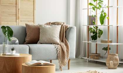 A living room with a grey couch, a wooden table, and a plant on the shelf.