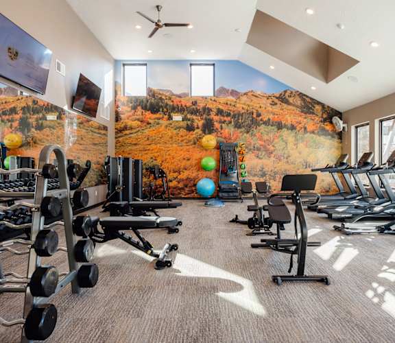 A well-equipped gym with a large wall mural of a forest in autumn.