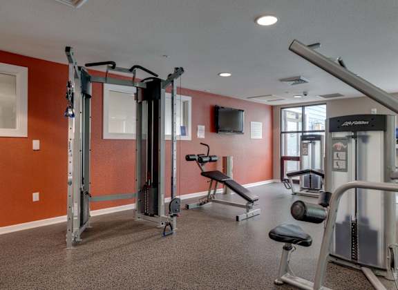 A gym with a variety of equipment including a squat rack, bench, and weights.