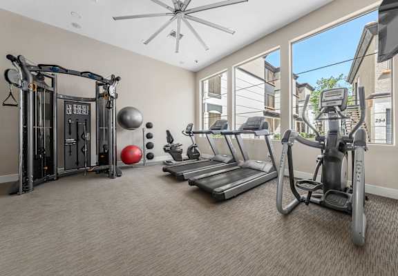 A well-equipped home gym with a variety of exercise machines.