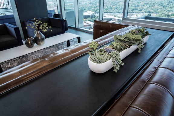 a living room with leather couches and a table with plants  at Two Twelve Clayton, Clayton, MO