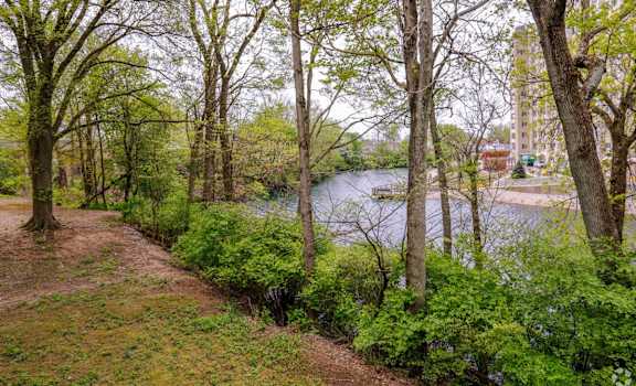 A path with green trees on the side of a river.