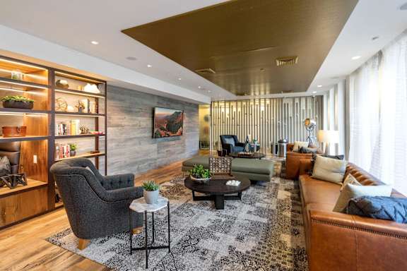A living room with a grey armchair, a black coffee table, a brown leather couch, and a wooden bookshelf with plants on top.