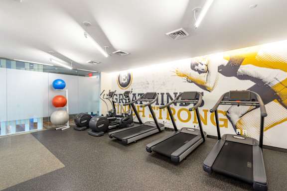 A gym with treadmills and exercise balls.