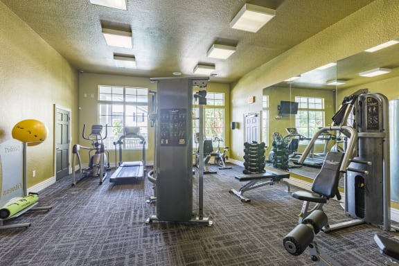 Fitness Center at Rivertree Apartments in Riverview, FL