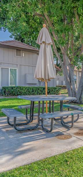 A park with picnic tables and benches is surrounded by trees.