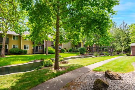 a pathway through the grassy area with trees and buildings in the background
