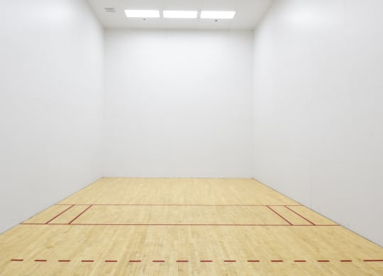 Sport court  at Esprit Apartments, Marina del Rey, 90292
