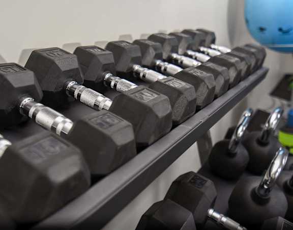 A rack of black dumbbells in a gym.