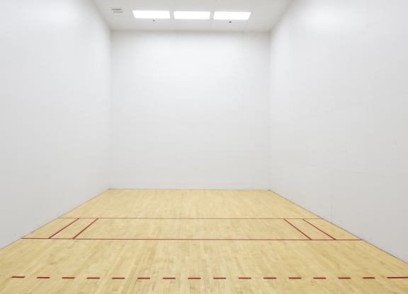 Sport court  at Esprit Apartments, Marina del Rey, 90292