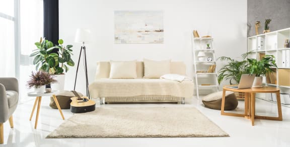 a living room with a couch and a rug