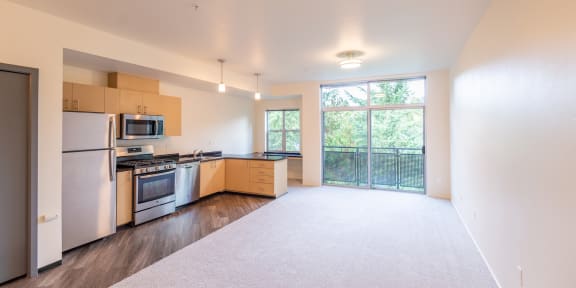 the preserve at ballantyne commons apartment living room and kitchen