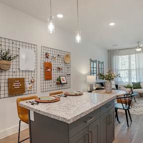 Living and kitchen Area 