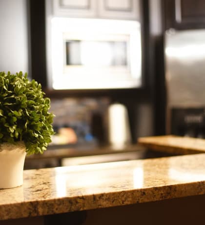 Small potted plant sits on a kitchen counter at Graymayre Crossing Apartments in Spokane, WA