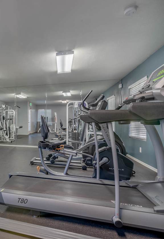 A gym with treadmills, weights, and exercise machines.