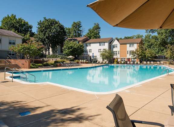 Invigorating Swimming Pool
