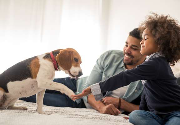 Father and Son Sitting on Bed with Beagle