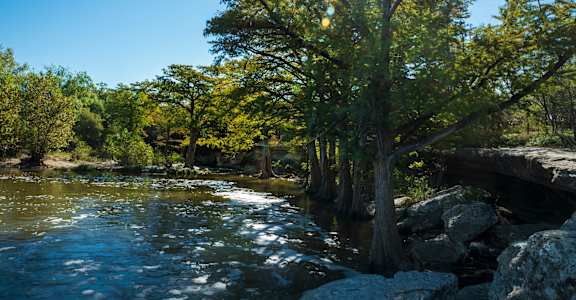 A river flows through a forest with a bridge crossing over it.