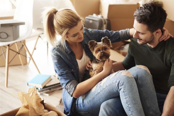 Young couple unpacking and holding their small dog in their new pet-friendly, luxury apartment