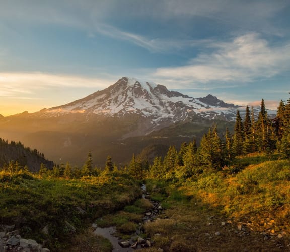 Peak at Sunrise Apartments in Puyallup, WA