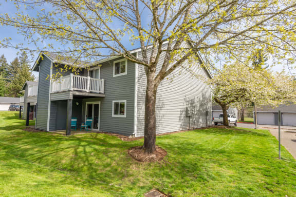 the back of the house with a large tree in the middle of the yard