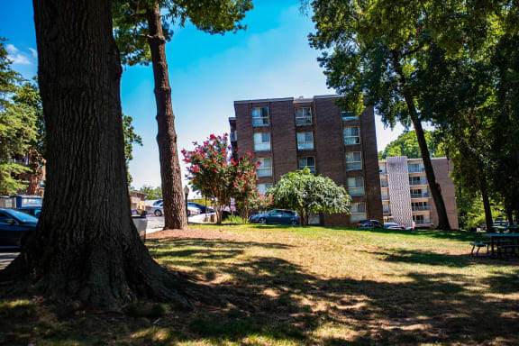 Silver Spring House Apartments Picnic Area 1