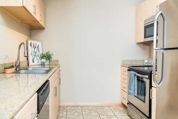 Stainless Steel Appliances
