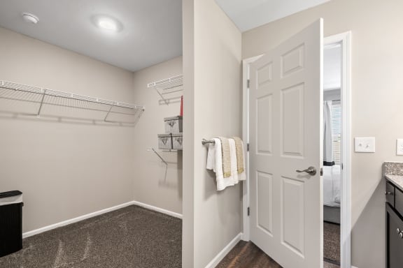 Texas Township MI apartment rentals Redwood Texas Township Master Closet