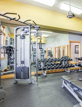 Fitness Center With Modern Equipment at Williams Reserve, Palatine, IL, Illinois