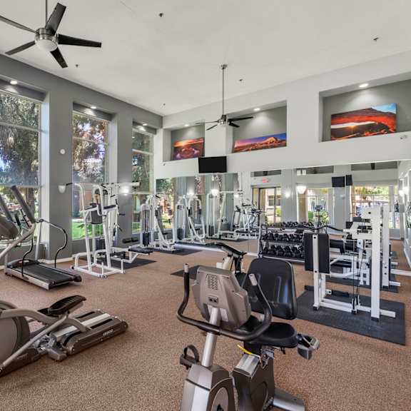 A gym with treadmills, elliptical machines, and other exercise equipment.