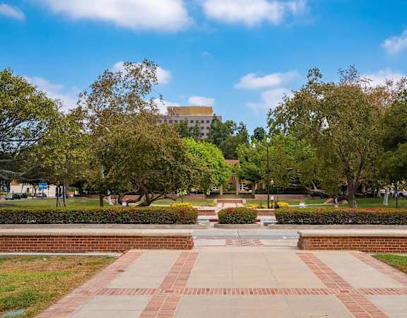 A walkway leads to a building in a park.