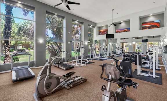 A gym with treadmills, elliptical machines, and other exercise equipment.