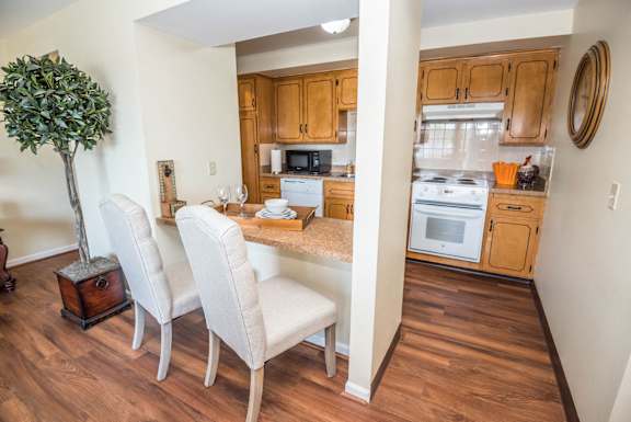 Olde Towne Village Apartments – Snack Bar - Dining Area - Appliances Included - 24 Hour Emergency Maintenance - Garbage Disposal – Balcony - Dishwasher - Ask for a Tour - Pet Friendly