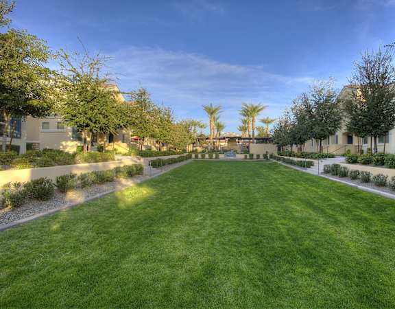 Grass area at Bella Victoria Apartments in Mesa Arizona January 2021 2
