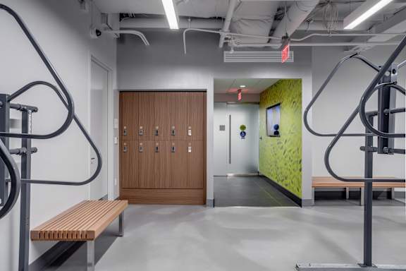 A gym with a bench, weights and a green wall.