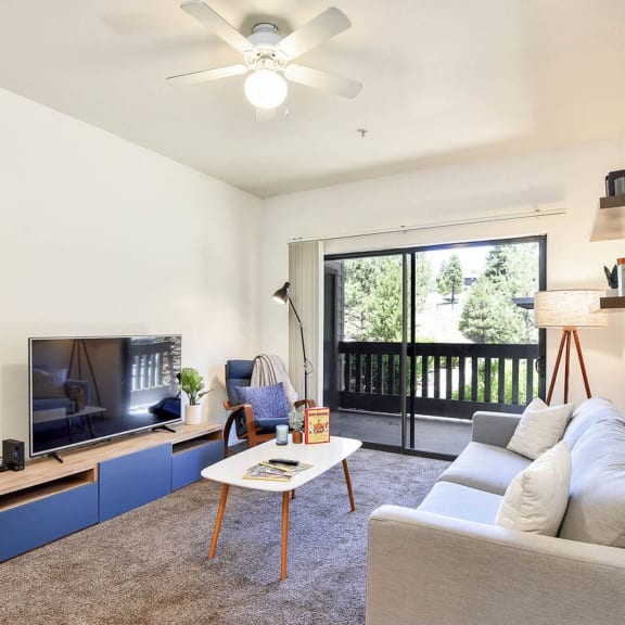 a living room with a couch and a tv