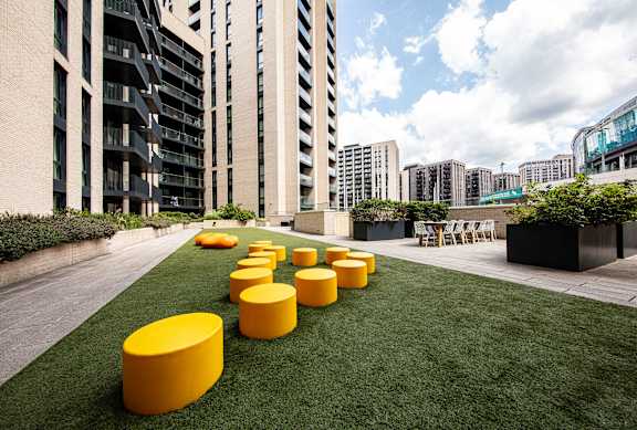 A row of yellow circles are on a green lawn.