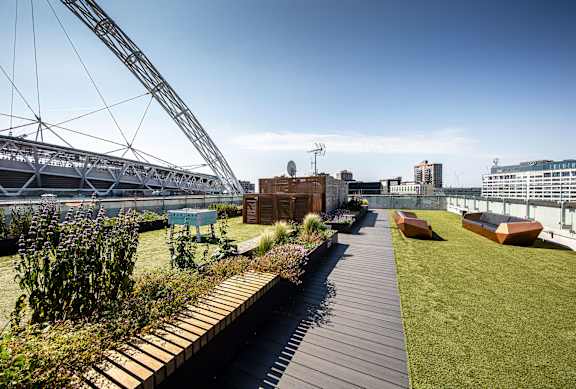 A rooftop garden with a wooden walkway and green grass.