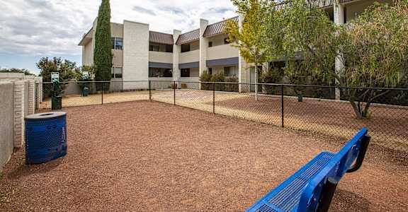 a dog park with a blue bench and a chain link fence