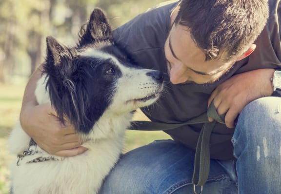 a man is petting a black and white dog