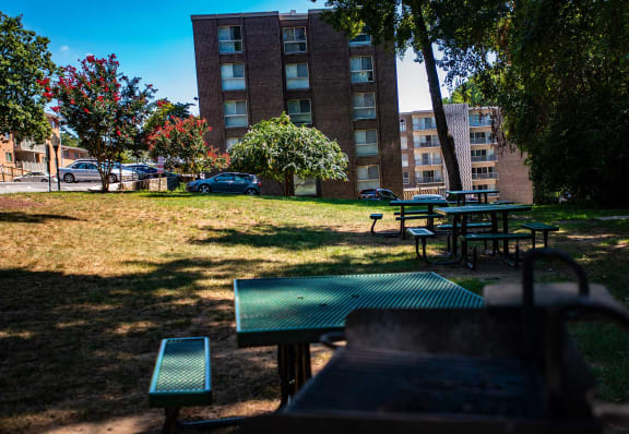 Silver Spring House Apartments Picnic Area 2