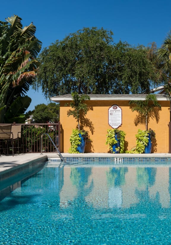 a swimming pool in front of a house with a palm tree