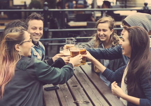 Group of Friends Toasting Over Picnic Table with Beers